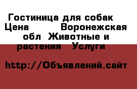 Гостиница для собак  › Цена ­ 400 - Воронежская обл. Животные и растения » Услуги   